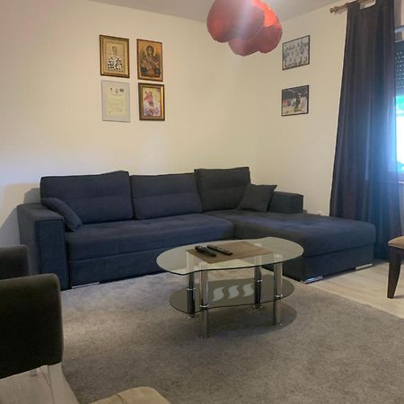 Mika'S Poolhouse Villa Belgrád Kültér fotó