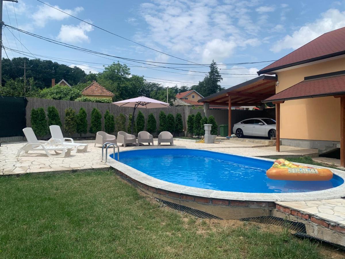 Mika'S Poolhouse Villa Belgrád Kültér fotó